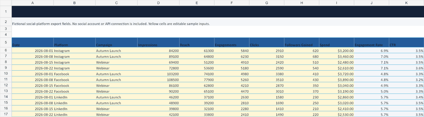 Social Media Report Excel Template Social Data sheet preview
